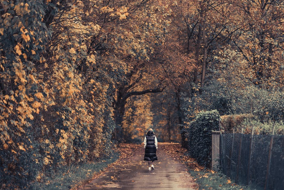 Solitary figure walking a quiet tree-lined path in autumn, a moment of release and reflection